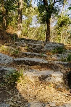 Rugged stone steps winding uphill beneath trees on a shady forest trail dur.. Stock Photos