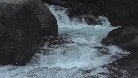 Rugged stream tumbles fast among mossy boulders. 스톡 동영상 334571023