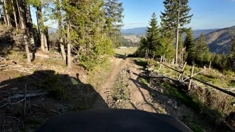 Rugged Terrain and Forest Trails Off-Road Journey Video stock 274421848