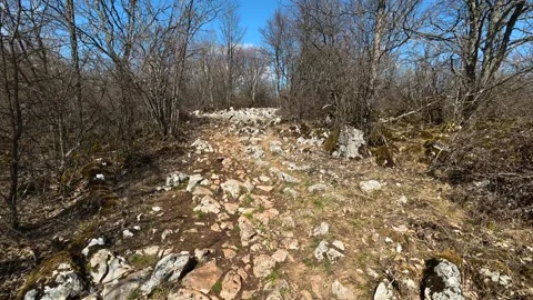 Rugged trail winds through bare woodland. Balkan, Eastern Europe, POV Video stock 331782566