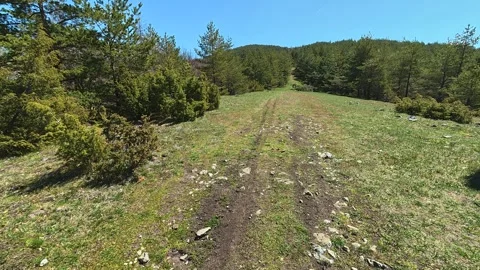Rugged trail winds through green hills. Balkan, Eastern Europe, POV Video stock 333440247