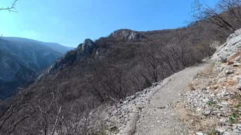 Rugged trail winds through rocky, barren forest. Balkan, Eastern Europe, POV Vídeos de archivo 331432962