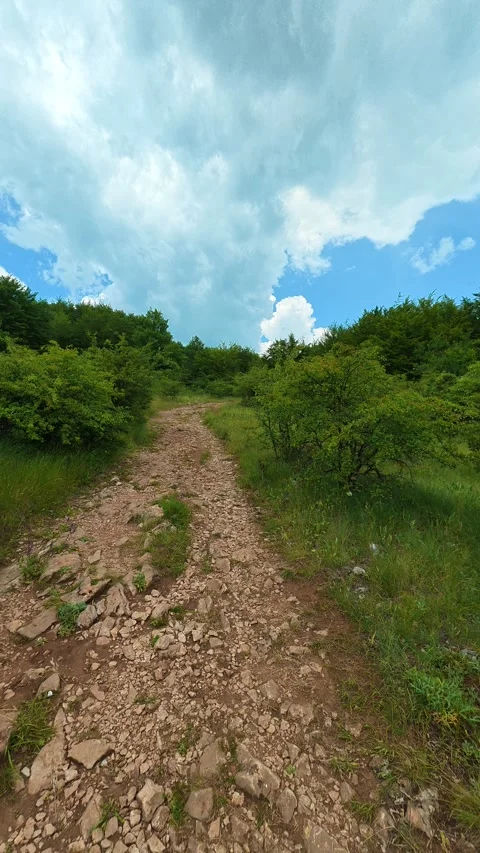 Rugged trail winds through vibrant green forest. Kozji Kamen area, Vertical 스톡 동영상 341880845