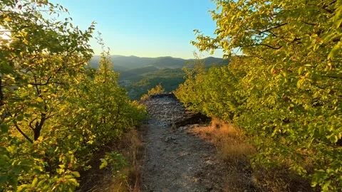 Rugged trail winds through vibrant green forest. Boracki krs Serbia 動画素材 345005656