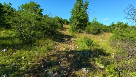 Rugged trail winds through wild greenery. Kozji Kamen hiking path, Serbia Vídeos de archivo 342340110