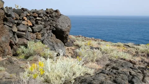 Rugged volcanic landscape and a path leading to the coast and the sea Stock Footage 176423758
