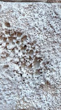 Rugged wall texture emphasizes organic architectures beauty. Perfect for Stock Photos