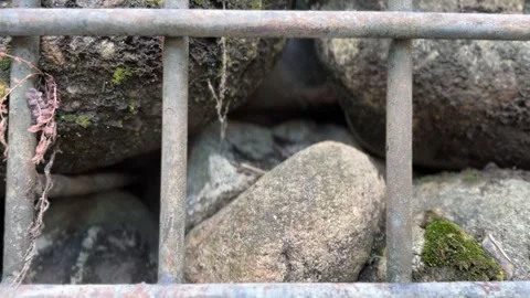 Rugged weathered stone surface behind metal cage Stock-Footage 312855771