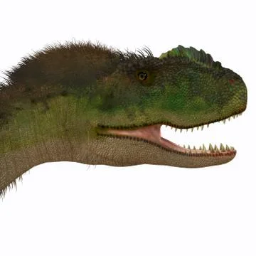 Rugops Dinosaur Head Stock Illustration