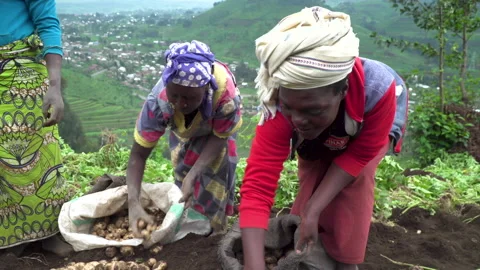 Rwanda Women Stock Video Footage | Royalty Free Rwanda Women Videos | Pond5