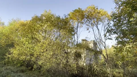A ruin behind the trees Stock Footage 218623972