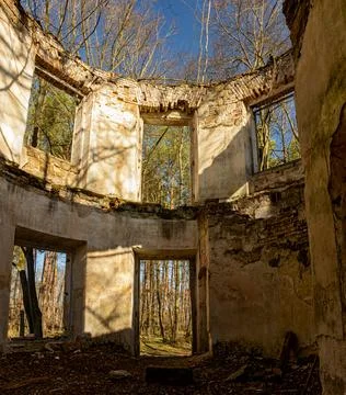 The ruin of a circular building between trees with fallen leaves Stock Photos