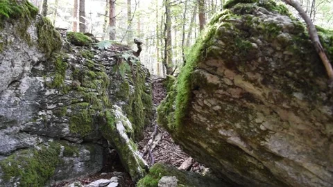 Ruin in german forest with moss and grass/ vegetation | mystic/ ambient Stock Footage 139131553