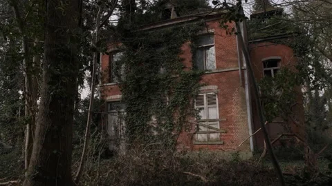 Ruin of a Mansion  in a forest pan left Stock Footage 171930669
