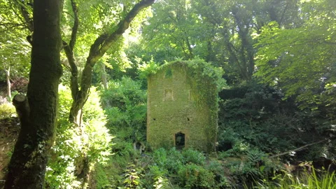 Ruin over a river Video stock 246383705