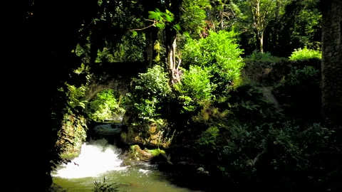 Ruin by a River  Video stock 246423946