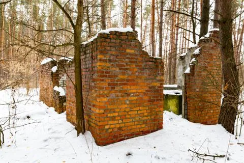 Ruin in winter forest 스톡 사진
