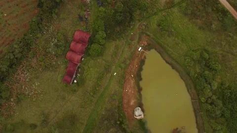 Ruinas Stock-Footage 172309423