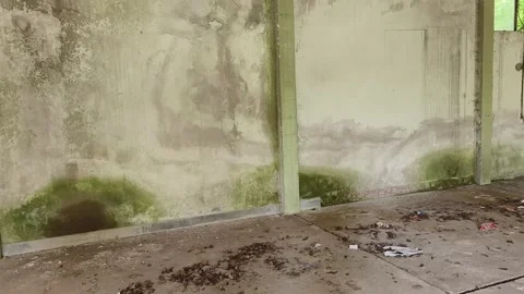 Ruined abandoned workshop building Stock Footage 273358737