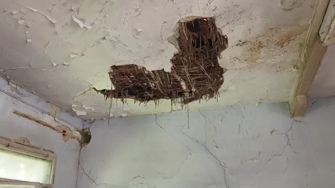 Ruined abandoned workshop building Stock Footage 273358861
