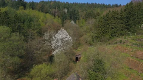 Ruined building in spring landscape Video stock 133550501