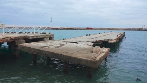 Ruined sea pier with the ducks around against background of the pier of ships Stock Footage