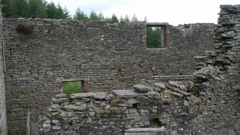 Ruined wall 2 Stock Footage 313531102
