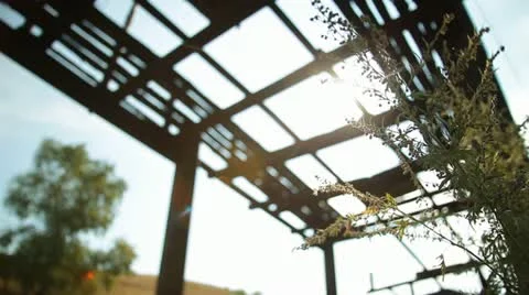 Ruins 012 Stock Footage 18101012