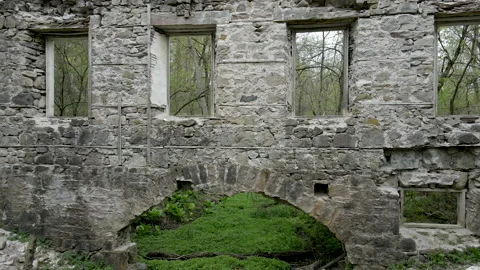 Ruins 2 動画素材 171255500