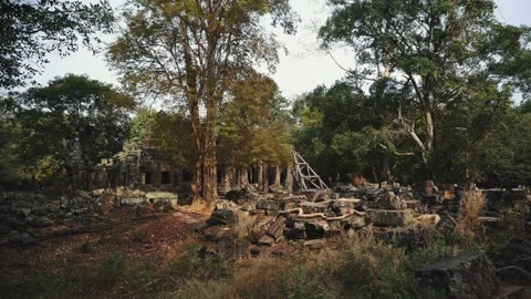 Ruins Of Abandon Temple - Angkor Wat 4k 스톡 동영상 132091153