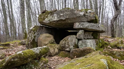 Ruins of an ancient dolmen in the forest Stock Footage 149096537