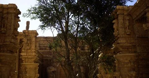 Ruins of ancient temple with a large tree under bright sunlight Stock Illustration