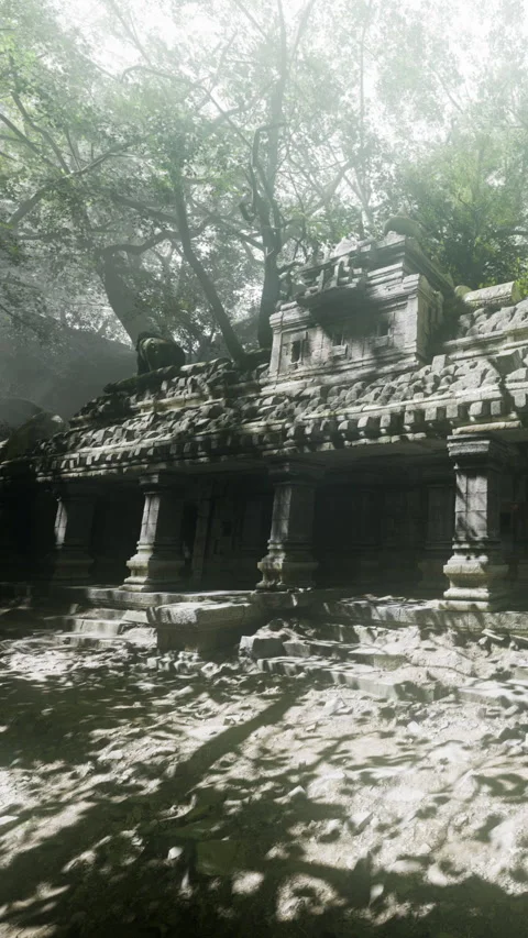 Ruins of an ancient temple surrounded by trees in a dense forest Stock Footage 339041052