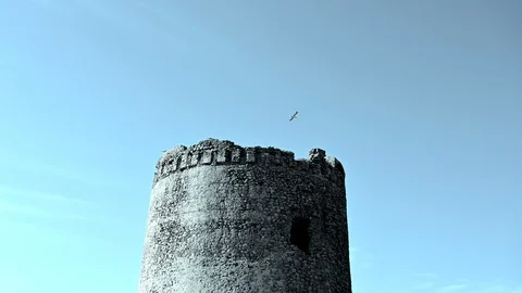 Ruins of an ancient tower of stone nested by birds Stock Footage 110758337