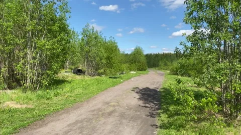 Ruins and tree-lined roads in an abandoned city. 4K shooting. Stock Footage 132385750