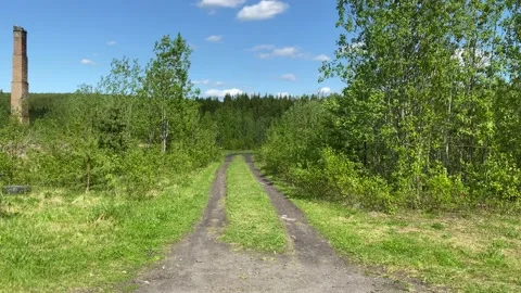 Ruins and tree-lined roads in an abandoned city. 4K shooting. Stock Footage 132385982