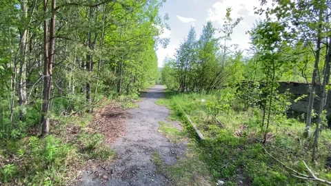 Ruins and tree-lined roads in an abandoned city. 4K shooting. Video stock 132389359