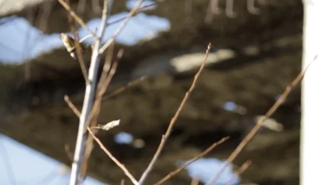 Ruins of a building close-up Stock Footage 71824655