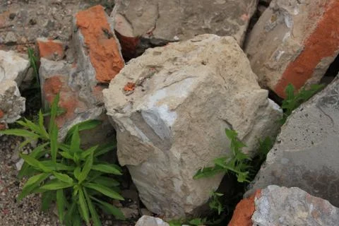 The ruins of the building Foto stock