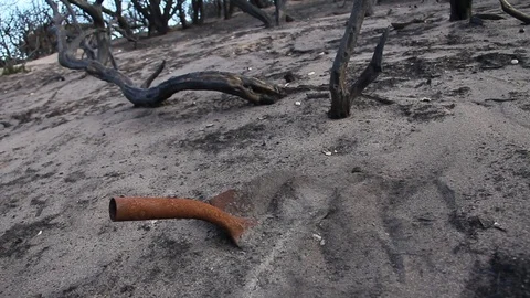 Ruins in Burnt Forest Stock Footage 94254758