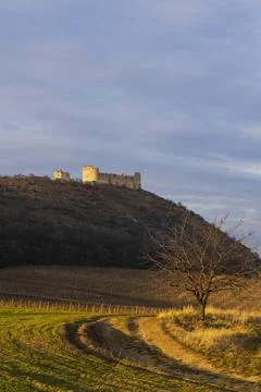 Ruins of Devicky Castle with vineyards, Czech Republic 스톡 사진