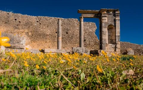 The ruins of dougga Stock Photos