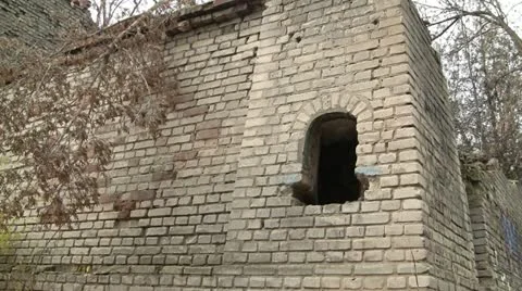 Ruins Vidéo 12678558