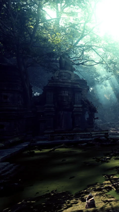 Ruins in the forest with light shining through trees in the early morning Stock Footage 341058014