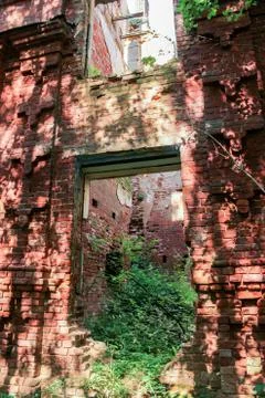 Ruins in the forest. Stock Photos