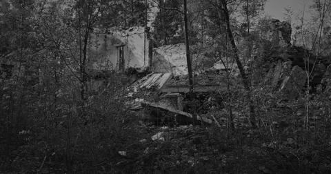 Ruins of a Former Structure in a Lush Forest Stock Photos
