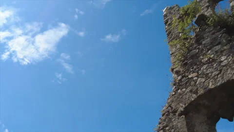 Ruins with a gull Video stock 261189963