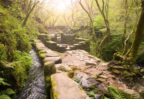 Ruins in the middle of the forest with sunlight Stock Photos