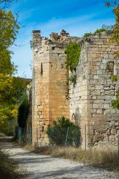 Ruins of the Monastery of Bonaval Stock Photos