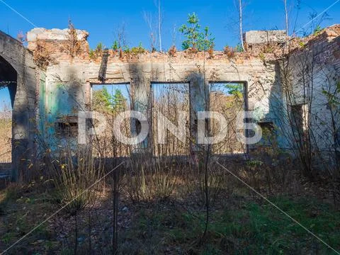 Ruins of an old abandoned building in a thicket of grass and shrubs ...